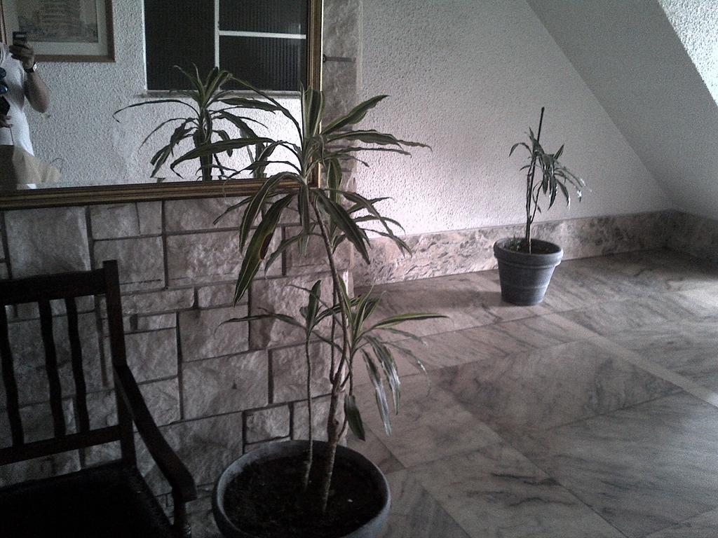 Pocitos La Rambla Studio Apartamento